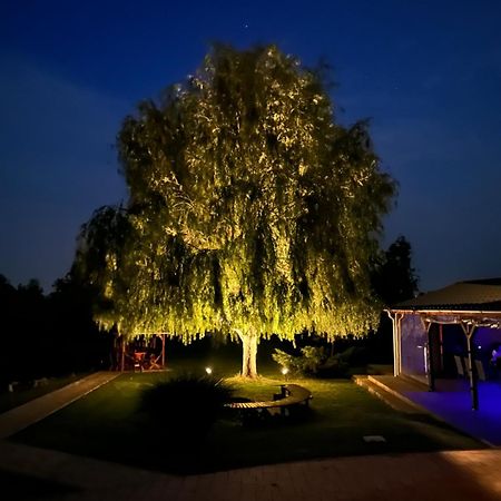 Battonya House Apartment Екстериор снимка
